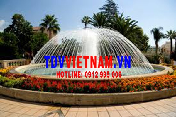 kiểu bdbgjf